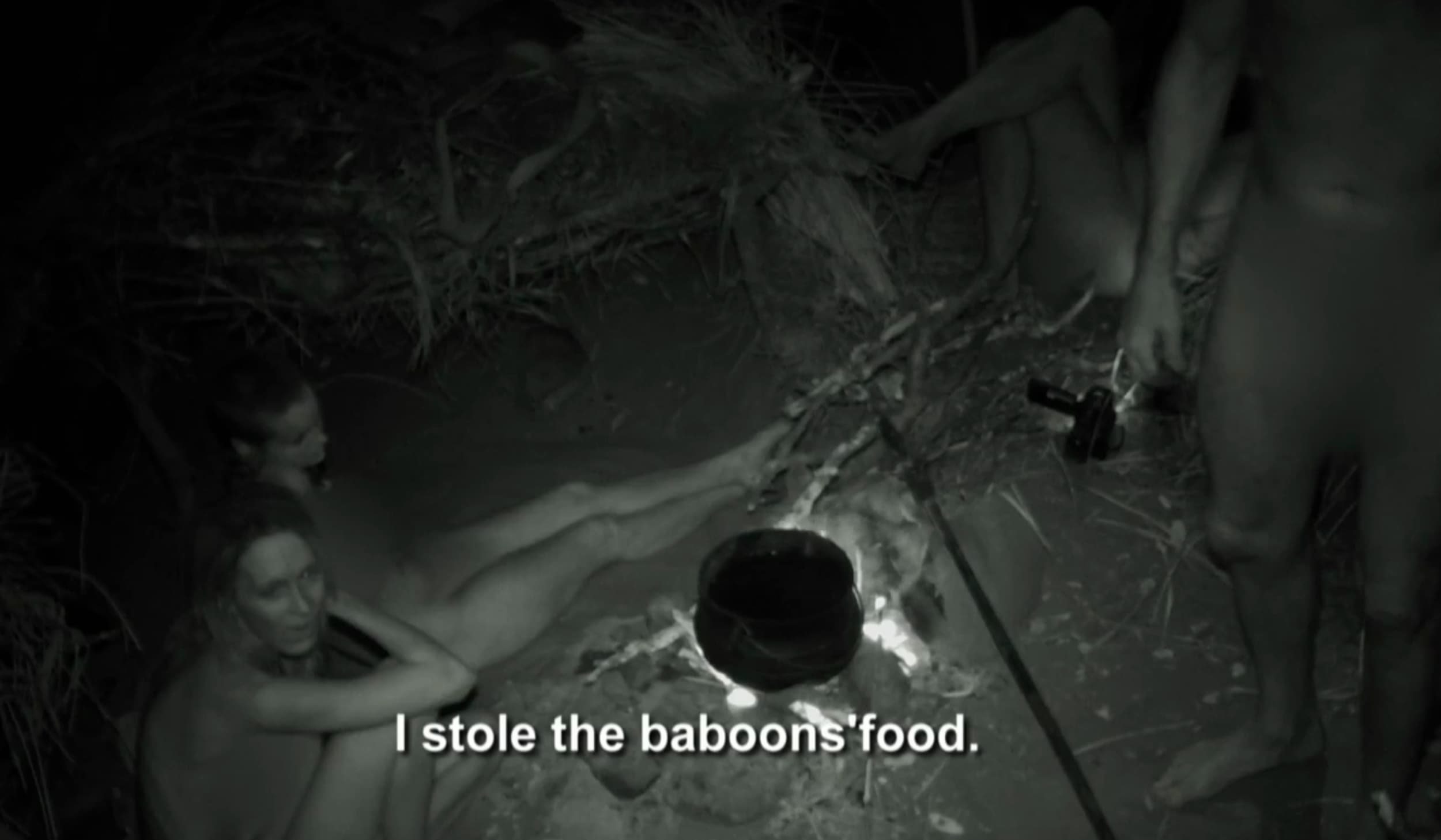 darkness - I stole the baboons'food.